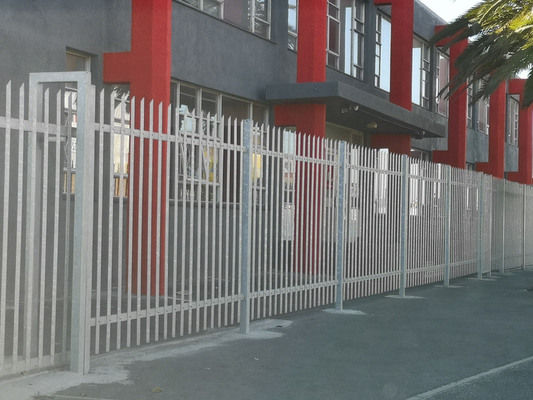Why Choose Palisade Fencing to Secure Your Home?