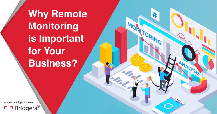 What is IoT Remote Monitoring and Why Your Business Needs it?